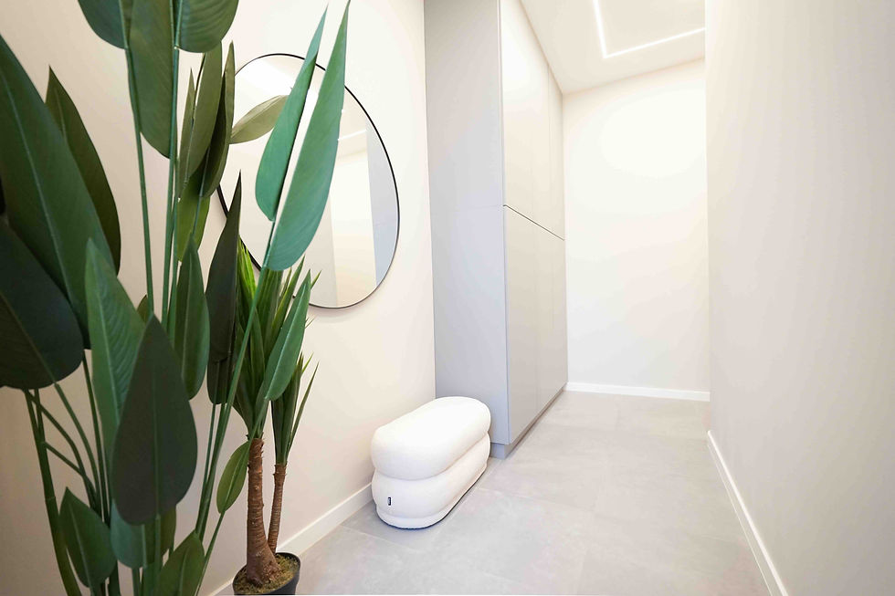 renovated apartment with 3 units for sale in Sip street , district 7, Budapest