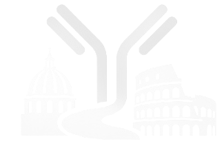 Screenshot 2026-01-19 191448.jpg