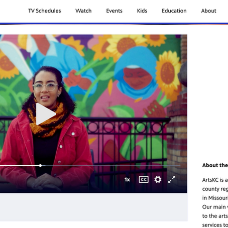Interview in PBS' Art Moves Us