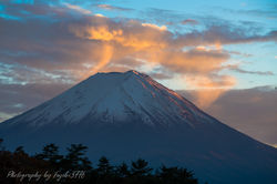 ベールの微笑み
