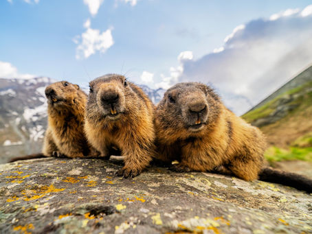 Grossglockner, Rakousko