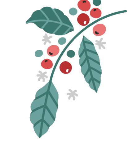 coffee plant vector