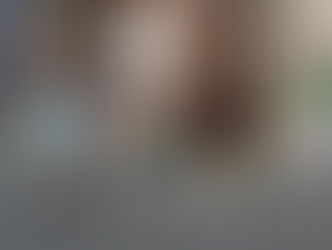 こんな場所に猫島が！！