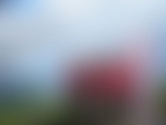 『保戸島のテッペンで島弁を食べよう』後半戦！