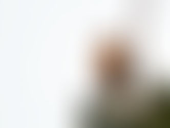 保戸島バードウォッチング