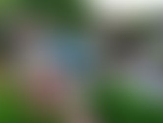 保戸島も梅雨入りしました！明日は台風接近？？