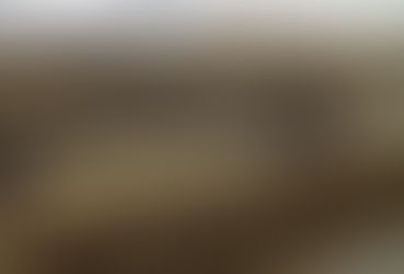 Feeding Reptiles and Humans