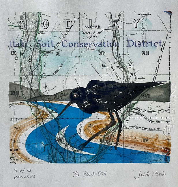 The  Black Stilt.jpg