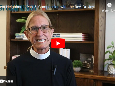 Project Neighbors - Part 5: Compassion with the Rev. Dr. Joy Blaylock