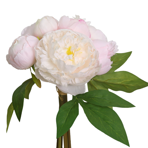 Miniature : Bouquet PINKY