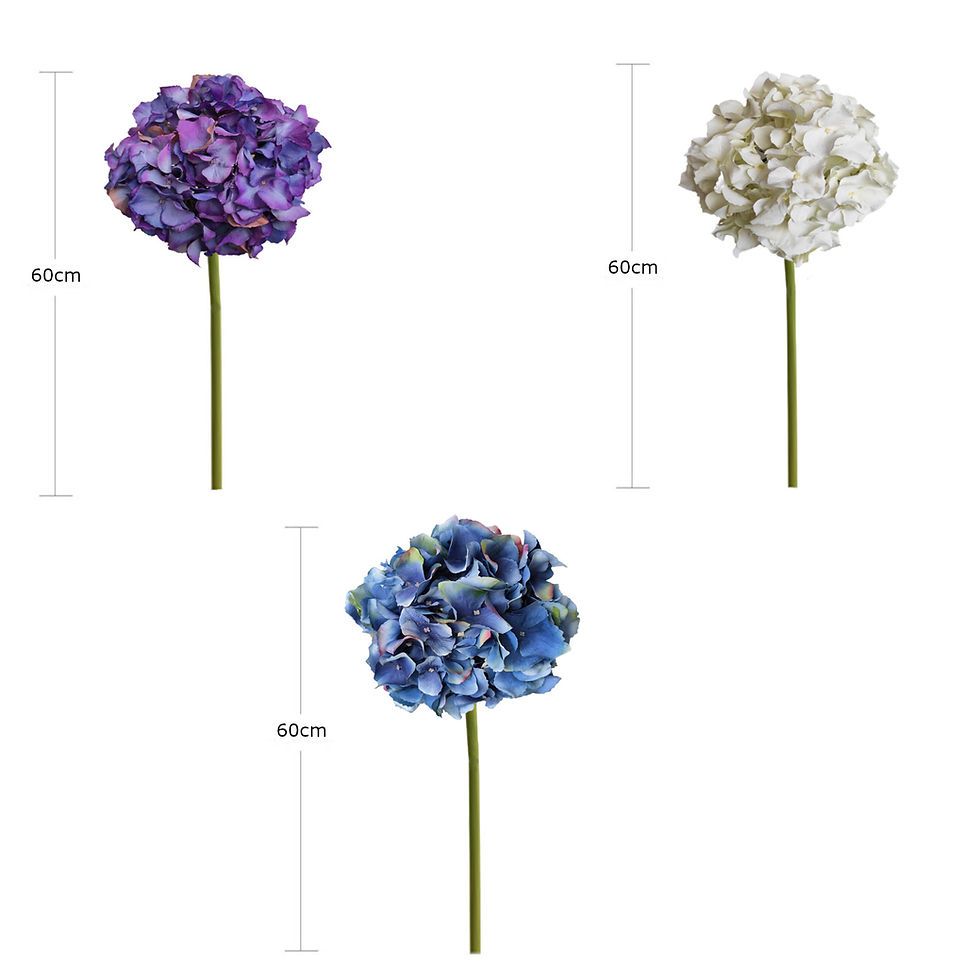 Thumbnail: Hortensia Grace