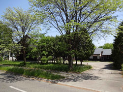 木々に囲まれた西側からの全景