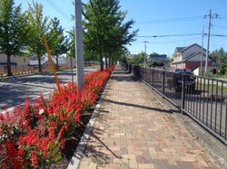 高架道路