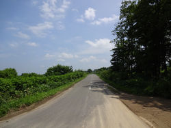 周りの道は全部こんな真っ直ぐロード。