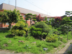 素晴らしいお庭を造っていましたす