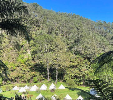 312742828_559277382864411_5958516155242545968_n (3).jpg