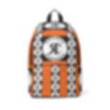 ROSNER CARNEGIE NYC® RCNYCPYUSBBP20041000110 UNISEX 4.0 BACKPACK - ORANGE