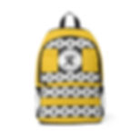 ROSNER CARNEGIE NYC® RCPYUSBBP20031000110 UNISEX 3.0 BACKPACK - GOLD