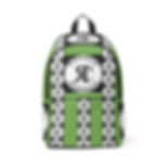 ROSNER CARNEGIE NYC® RCNYCPYUSBBP20041000110 UNISEX 4.0 BACKPACK - SAGE