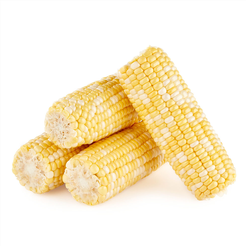 Thumbnail: Fresh Sweet Corn on the Cob, (4 Count Tray)