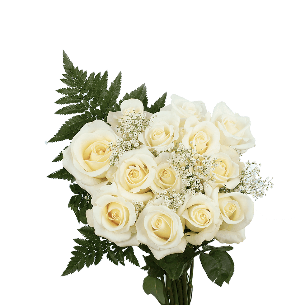 Thumbnail: 3 Dozen White Roses with Baby's breath and Green- Fresh Flower Delivery