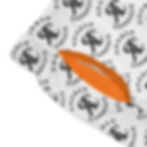 Thumbnail: ROSNER CARNEGIE KZN® FY-KZN-M-SW-T-1000-1 MONO MENS SWIM TRUNKS - ORANGE