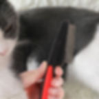 Thumbnail: Pet Supplies Teeth Shedding Hair Flea Lice Removal Brush StainlessSteel Comb De
