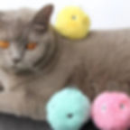 Thumbnail: New Pet Call Ball Fun Cat Toy Ball  Sound Electric Training Toy Interact Teasin