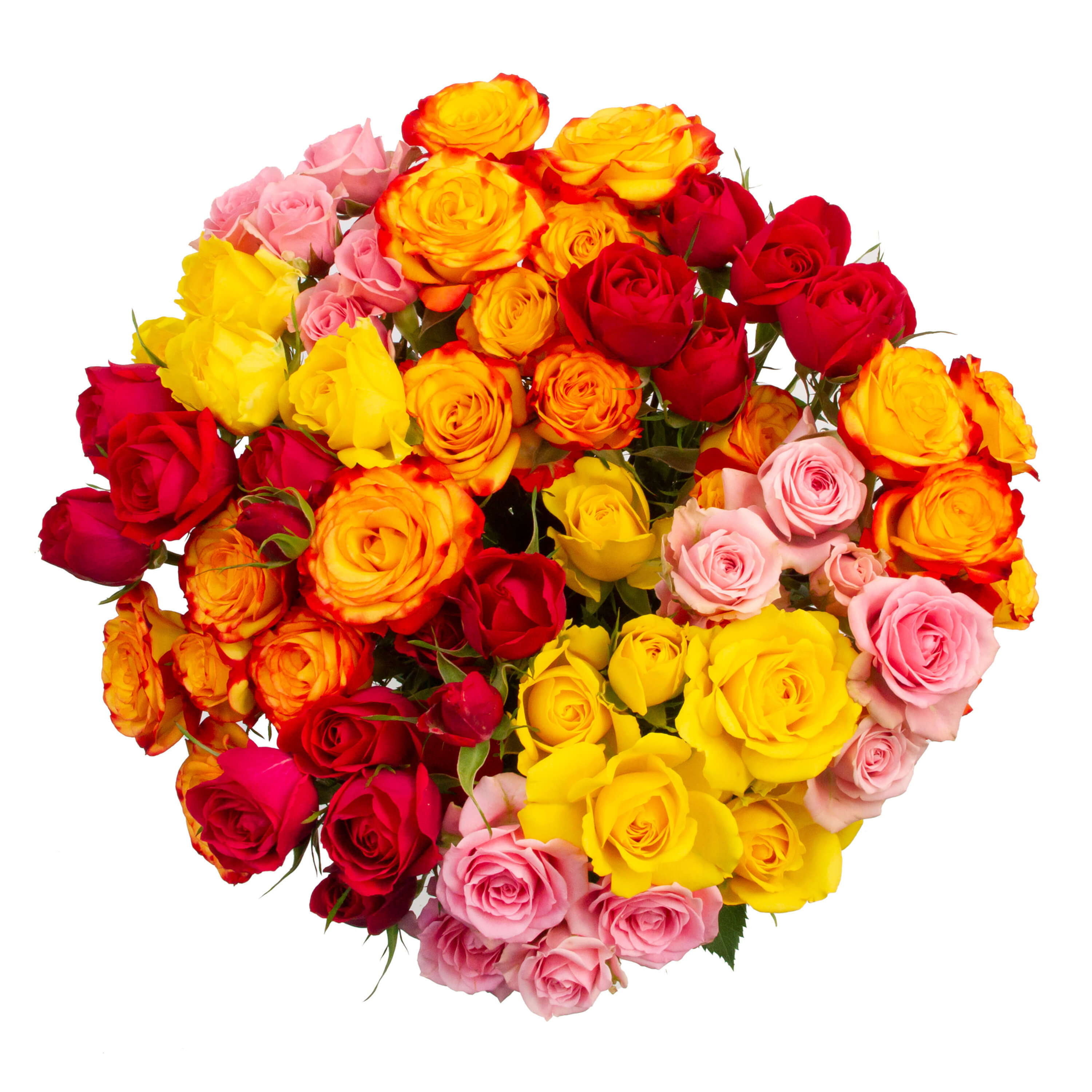Fresh-Cut Spray Roses Flower Bunch, Minimum of 9 Stems, Colors Vary
