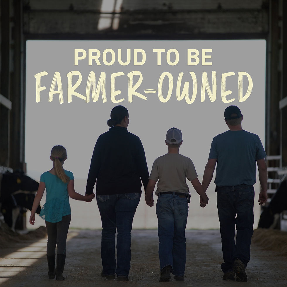 Thumbnail: Land O Lakes Spreadable Butter with Canola Oil, 8 oz Tub