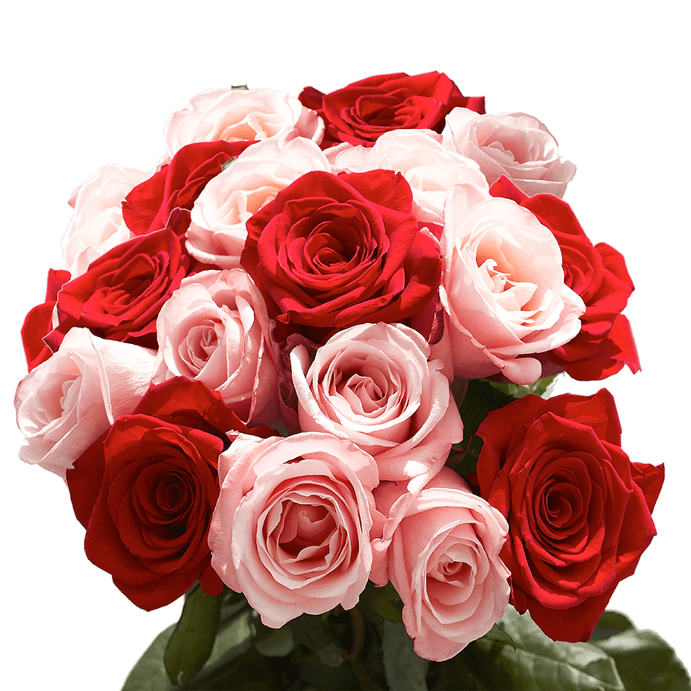 50 Stems of Roses: 25 Red and 25 Pink- Beautiful Fresh Cut Flowers- Express Del