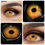 Thumbnail: D'ORELLA  2pcs Halloween Colorful Contact Lenses Anime Cosplay Eye Lenses multi