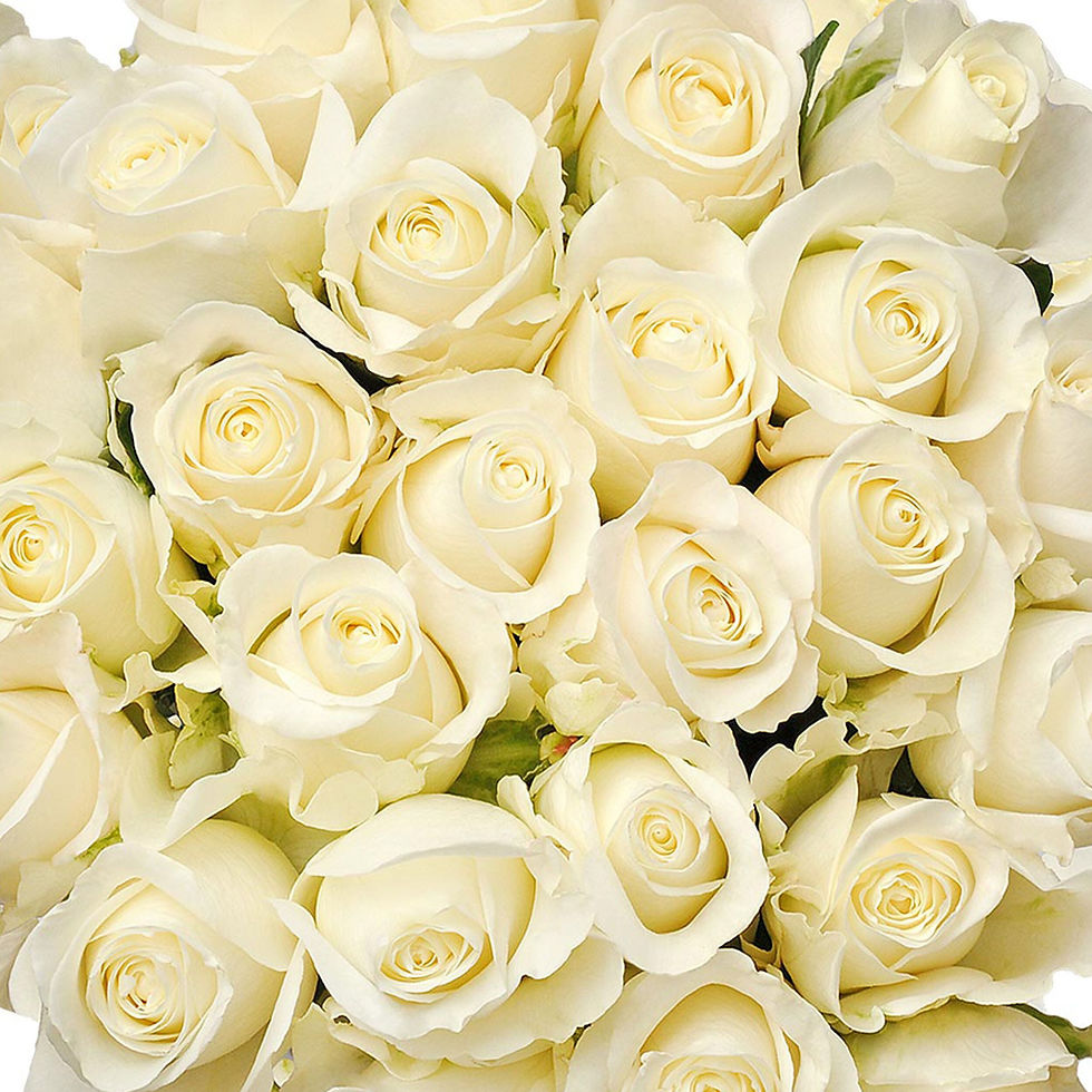 Миниатюра: White Roses - 50 cm - Fresh Cut Flowers - 50 Stems