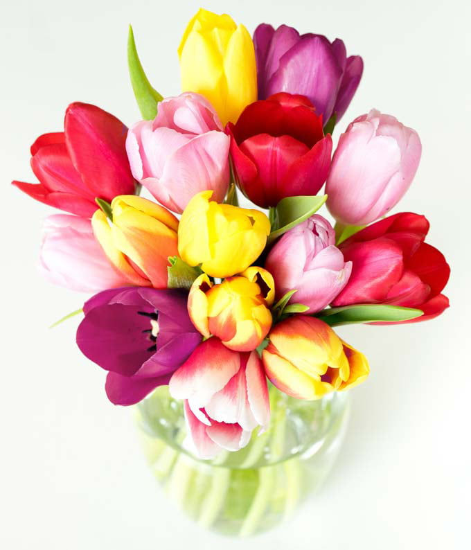 Thumbnail: Rainbow Tulip Bouquet - 15 Stems (Fresh Flowers)