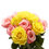 الصورة المصغرة: 50 Stems of Roses: 25 Yellow and Pink- Beautiful Fresh Cut Flowers- Express Del