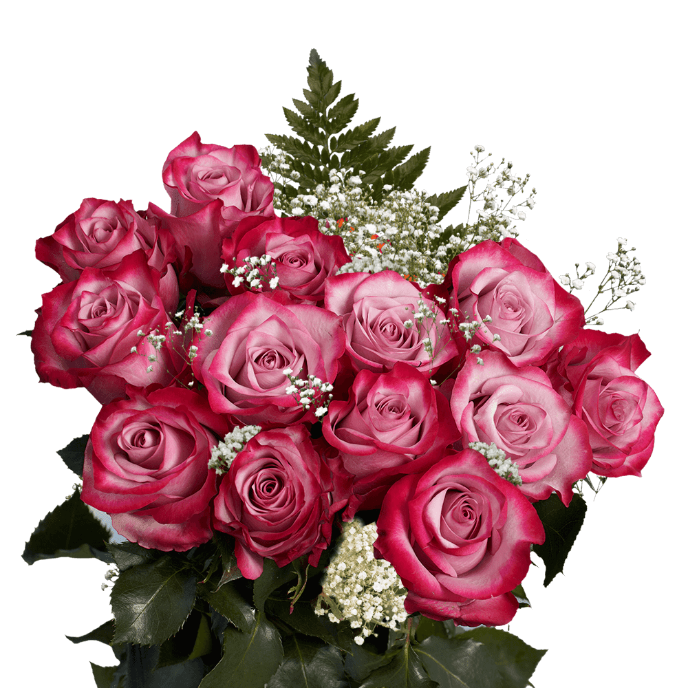 3 Dozen of Deep Purple Roses with Baby's breath and Green- Fresh Flower Delivery