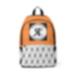 ROSNER CARNEGIE NYC® RCPYUSBBP20011000110 UNISEX 1.0 BACKPACK - PUMPKIN