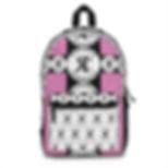 ROSNER CARNEGIE NYC® RCNYCPYUSBBP20071000110 UNISEX 7.0 BACKPACK - PINK