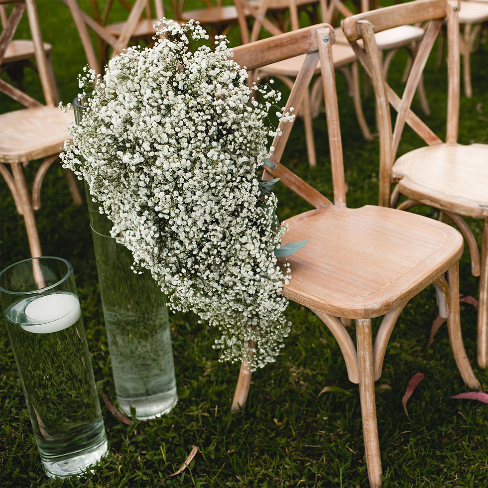 Thumbnail: Baby's Breath - Fresh Cut Flower Fillers - 5 Bunches - White