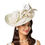 Thumbnail: Elegant Butterfly Flowers Exaggerated Tea Party Kentucky Derby Hat Fascinator B