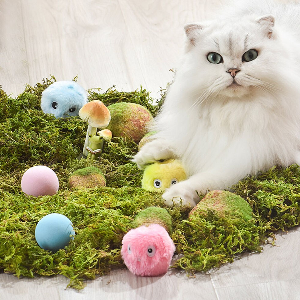 Thumbnail: Smart Cat Toys Interactive Ball Plush Electric Catnip Training Toy Kitten Touch