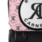 Thumbnail: ROSNER CARNEGIE NYC® RCPYUSBBP202210110 UNISEX 22.0 BACKPACK - BABY PINK