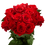 Thumbnail: 250 Stems of Red Freedom Roses- Beautiful Fresh Cut Flowers- Express Delivery
