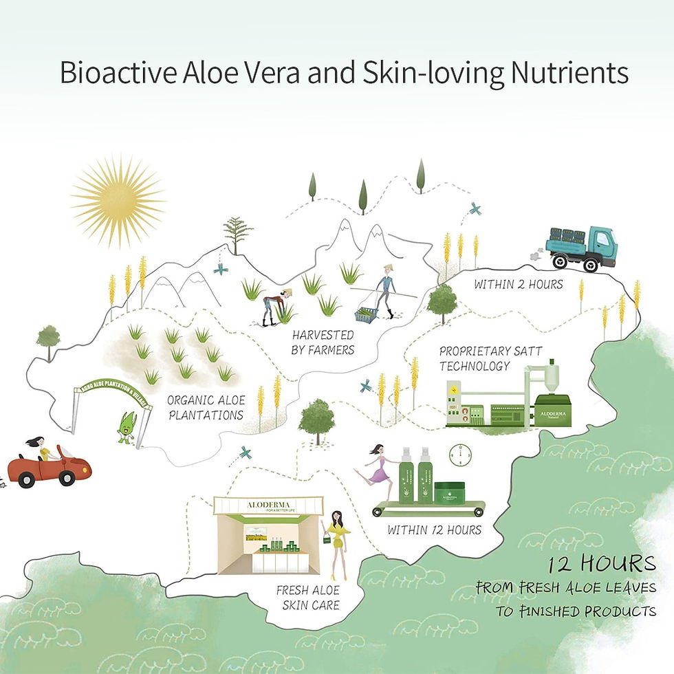 Thumbnail: Aloderma Fresh Aloe Vera Gel 200G 2PCS Hydrating Moisturizing Organic Plant Alo