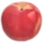 Thumbnail: Fresh White Peach, Each