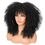 Thumbnail: Curly Afro Wigs For Black Women Short Kinky Curly Wigs With Bangs 16 Inch Brown