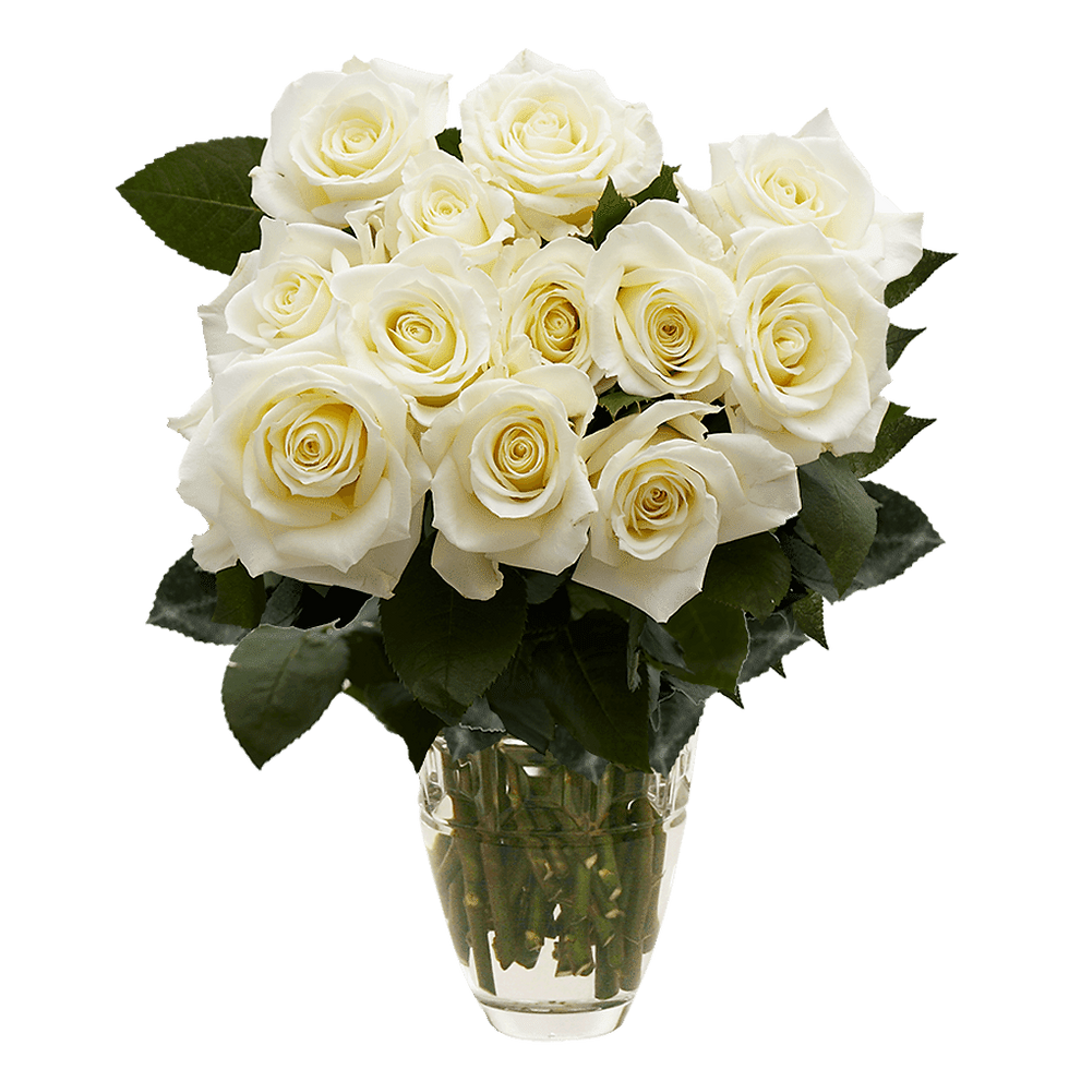 Thumbnail: One Dozen White Roses- Fresh Flower Delivery