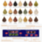 Thumbnail: Cold Press Oil Machine  Automatic Household FLaxseed Oil Extractor Hydraulic Pe