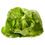 Thumbnail: Fresh Romaine Lettuce, Each