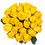 Thumbnail: Yellow Roses 50 cm - Fresh Cut 125 Stems